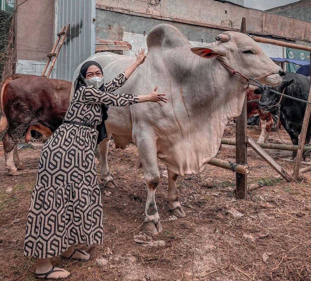 Ria Ricis Beli Sapi Kurban Limited Edition, Harganya Capai Rp120 Juta (Dok.IG Ria Ricis)