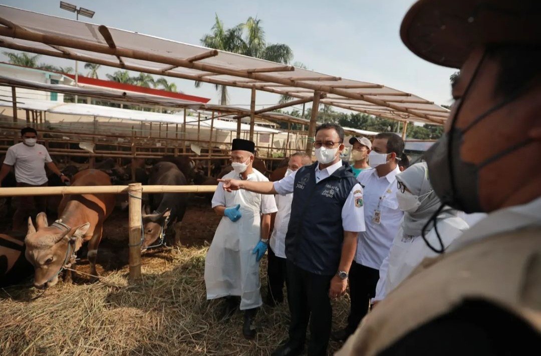 Antisipasi PMK, Anies Siapkan 865 Petugas Pemeriksa Kesehatan Hewan Kurban (Dok. IG )