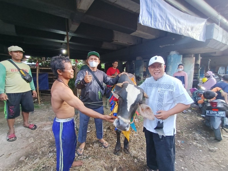 Gaet Pembeli, Pedagang Hewan Kurban di Tanjung Priok Buka Salon Sapi dan Kambing (Dok.MNC)