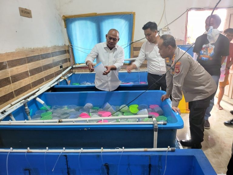 Polisi Grebek Gudang Benih Lobster Ilegal, Mau Diekspor ke Vietnam (FOTO: MNC Media)