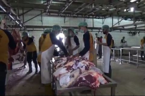 Wajib Paham! Ini Panduan Prosedur Pemotongan Hewan Kurban di Daerah Terwabah PMK (foto: MNC Media)