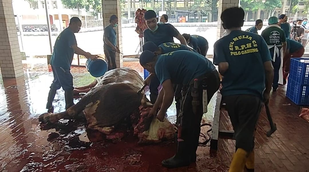 Masjid Istiqlal menyembelih sebanyak 35 sapi dan 17 ekor kambing pada Senin (11/07/2022).