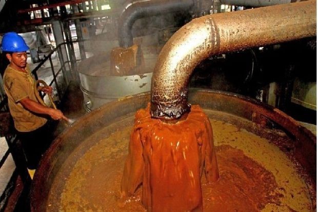 Ekspor minyak sawit mentah atau crude palm oil (CPO) Indonesia tahun ini turun hampir 25 persen (ilustrasi). (Foto: Arsip)