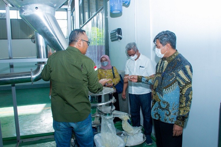Kemenperin Kembangkan Porang Jadi Bahan Baku Kertas Bernilai Tinggi. (Foto: MNC Media)