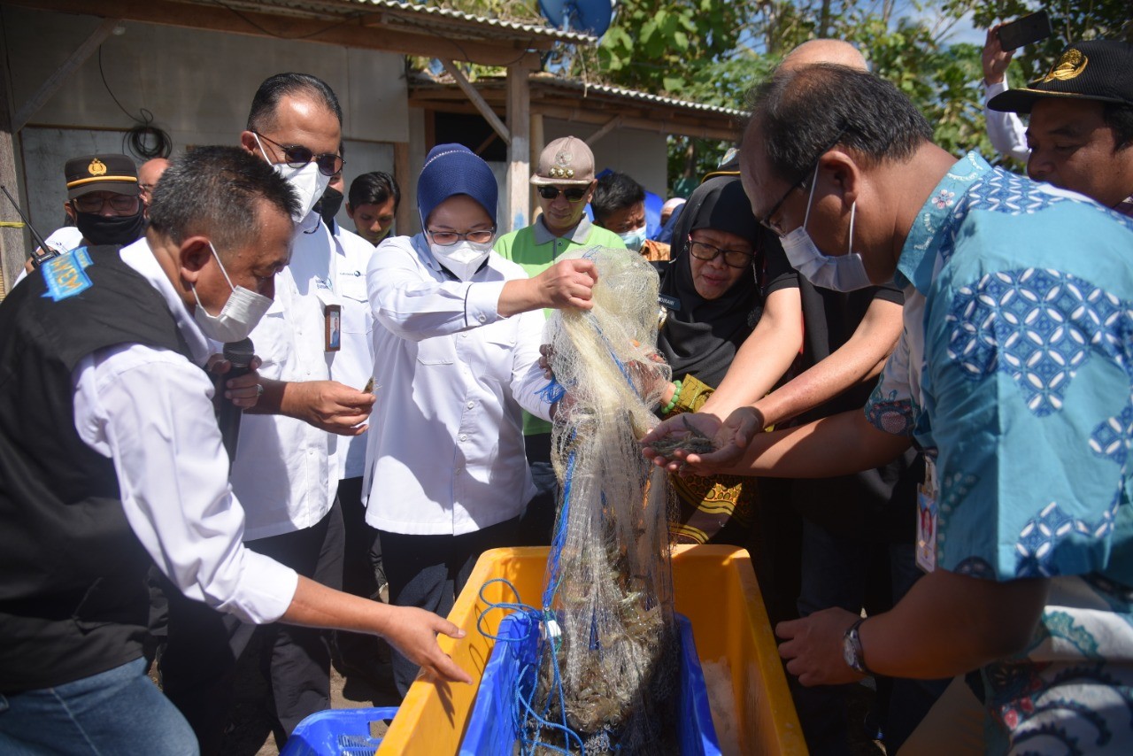 Genjot Ekspor Jatim, LPEI Bangun Desa Devisa Kluster Udang  (FOTO:Dok Ist)