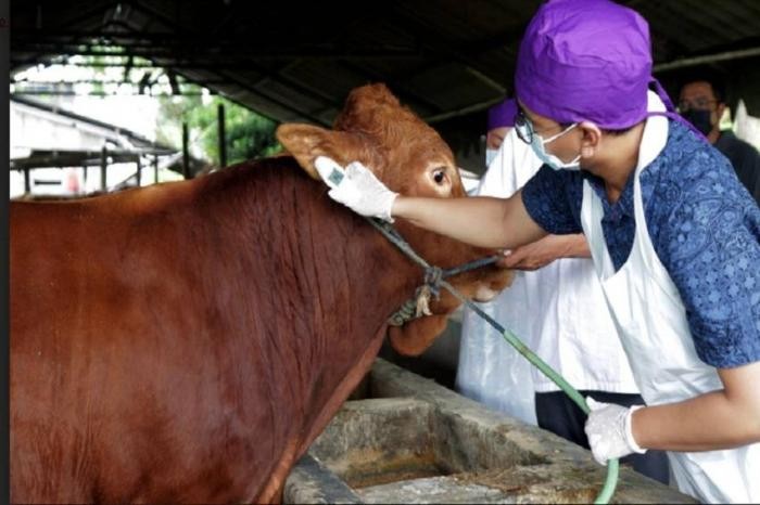 Dituding Lakukan Maladministrasi, Kementan Siap Datangi Ombudsman RI (foto: MNC Media)