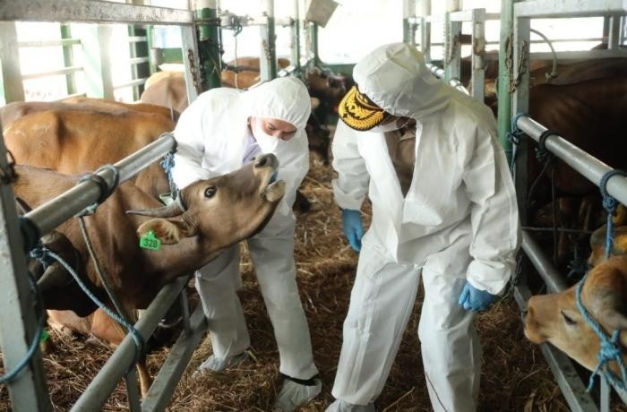 Satgas Masih Temukan Provinsi dengan Tingkat Vaksinasi PMK di Bawah 25 Persen. (Foto: MNC Media)