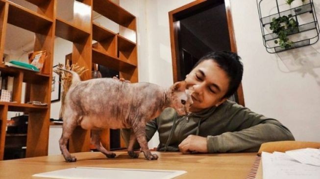 Komika sekaligus penulis Raditya Dika memang beberapa kucing mahal di rumahnya.
