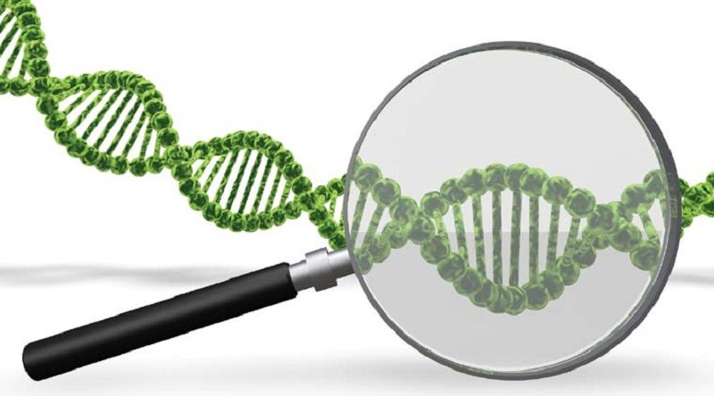 Ini Bocoran Harga Tes DNA di Rumah Sakit, Lengkap dengan Prosedurnya. (Foto: MNC Media)