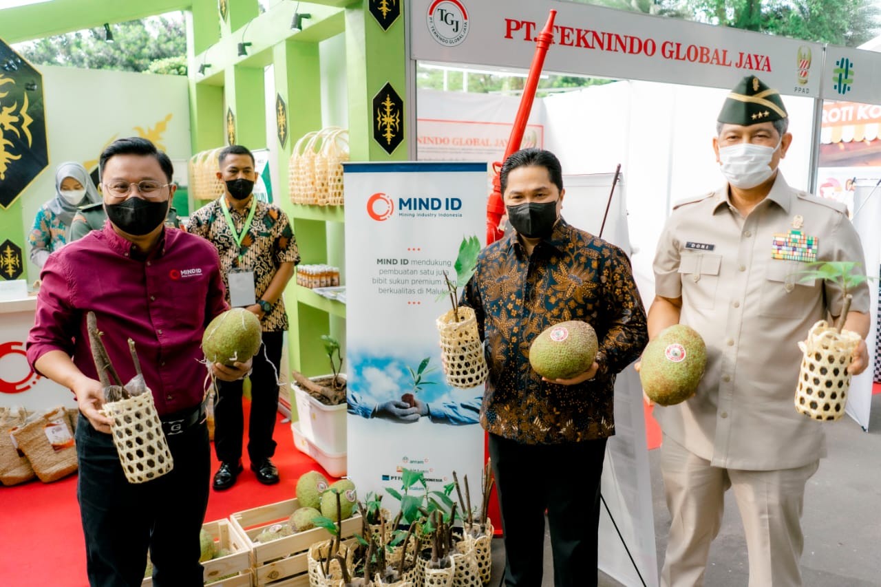 MID ID dan Purnawirawan TNI kolaborasi wujudkan sejuta bibit sukun. Foto: MNC Media
