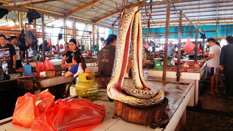 Suka Makan Daging Hewan Liar Bikin Gampang Terpapar Cacar Monyet, Ini Penjelasannya! (Foto: MNC Media)