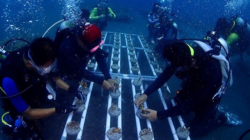 Intip 25 Jenis Pekerjaan Berkaitan dengan Sumber Daya Laut (Foto: MNC Media)