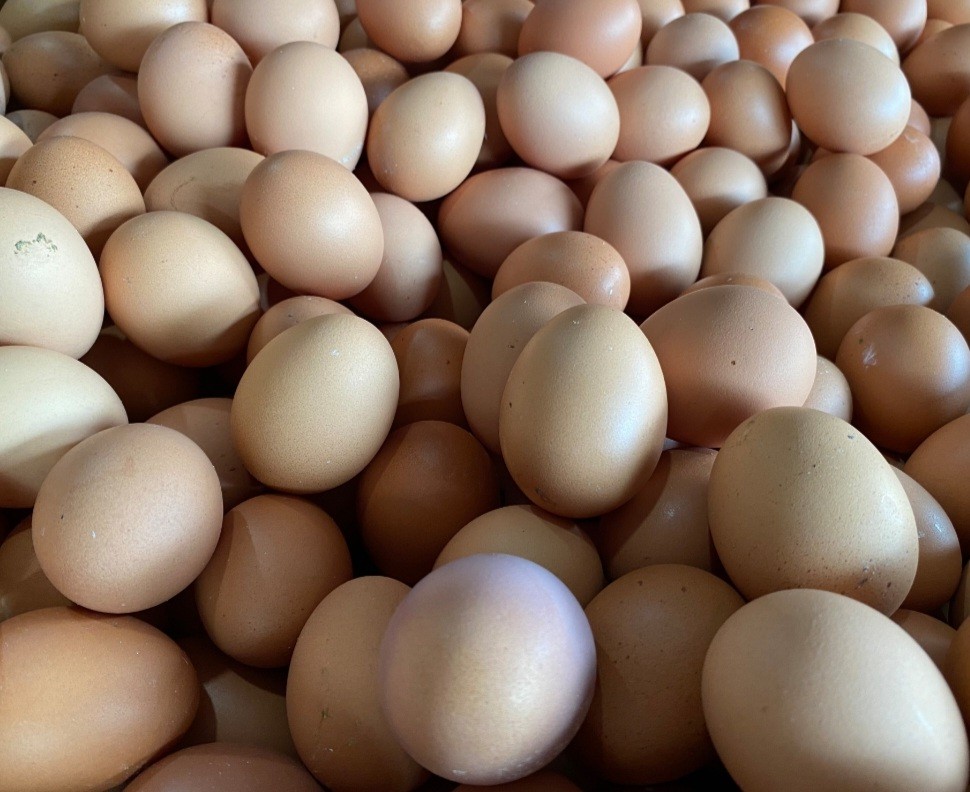 Pak Mendag, Harga Telur Ayam di Pasar Ikopol Bekasi Tembus Rp31.000 per Kilogram (FOTO:MNC Media)