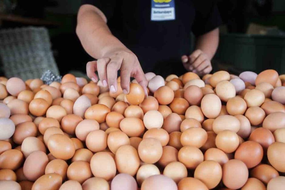 Harga Telur Ayam Tembus Rp30.200, Ternyata Ini Biang keroknya. (Foto: MNC Media)