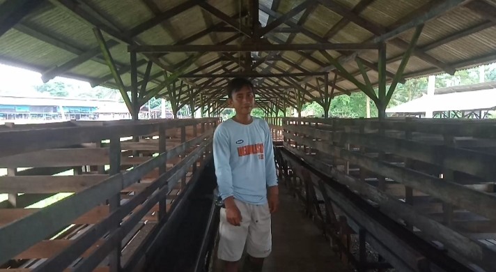 Pengusaha Telur Ayam Bangkrut Imbas Harga Pakan Meledak, Karyawan Jadi Pengangguran (FOTO:MNC Media)