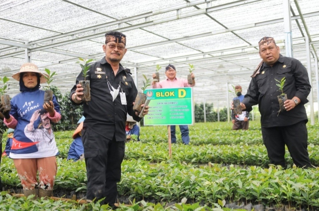 Mentan Imbau Produksi Kopi di Indonesia Perlu Ditingkatkan, Ini Alasannya (FOTO:Dok Ist)