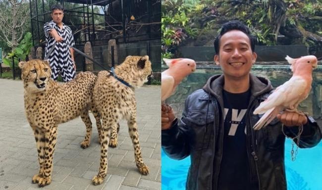 5 Artis Pelihara Hewan Anti-Mainstream, dari Irfan Hakim hingga Alshad (Foto: MNC Media)