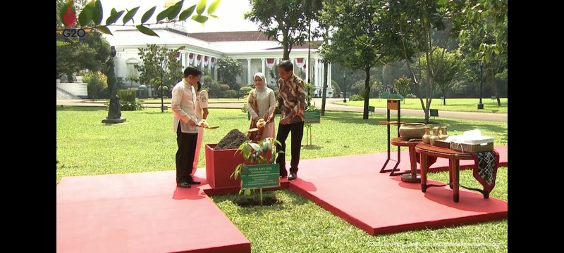 Jokowi Tanam Pohon Bareng Presiden Marcos Jr di Istana Bogor (Dok.screenshot Youtube)