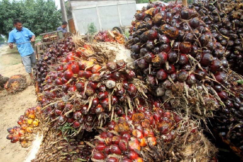 PTPN IV PalmCo Kucurkan Rp7,4 Miliar untuk Stimulus Ekonomi Masyarakat (foto: MNC Media)