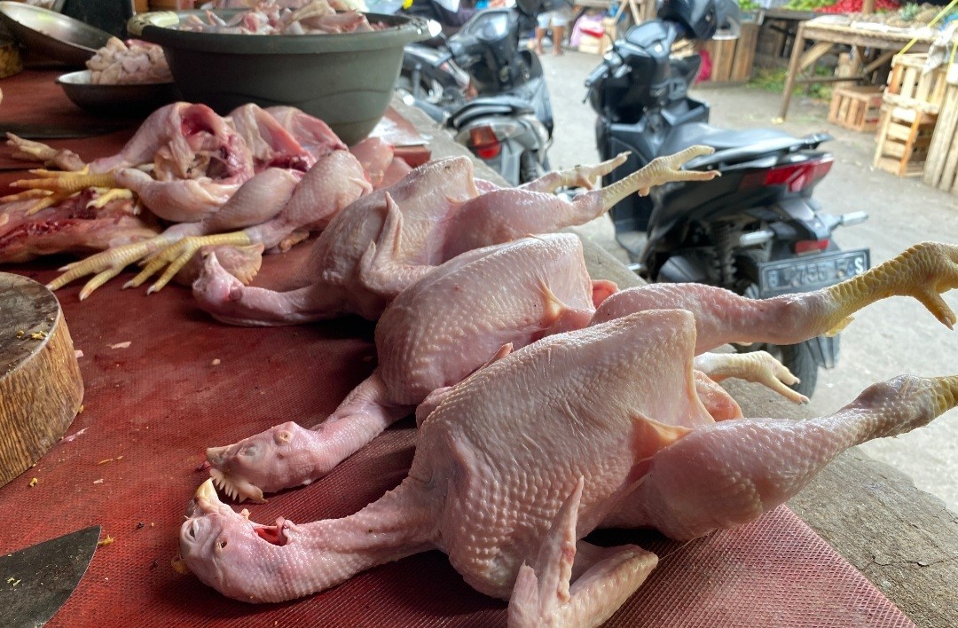 Tak Hanya Cabai, Harga Daging Ayam Ikutan Naik Rp3.000 per Kilogram (FOTO:MNC Media)