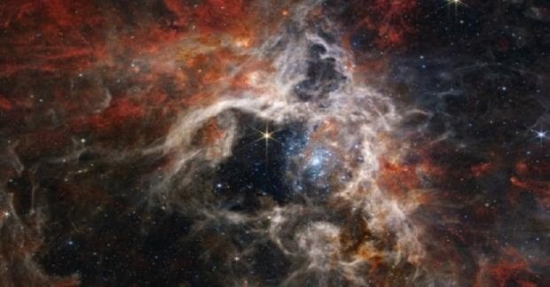 Tertangkap Teleskop Milik NASA, Ini Penampakan Tarantula Nebula (FOTO:MNC Media)