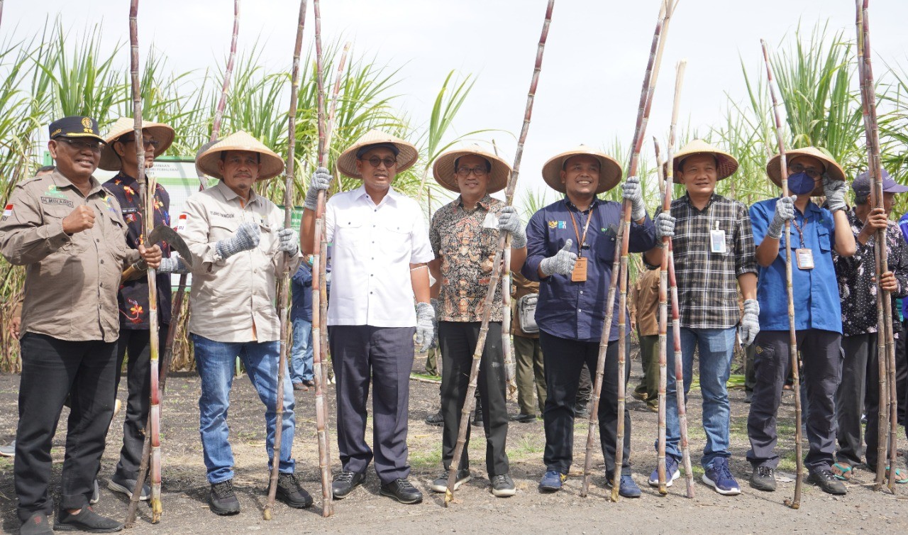Perhutani Sebut Ada Potensi Tebu Giling 30.000 Ton untuk Swasembada Gula.(Foto: Perhutani)