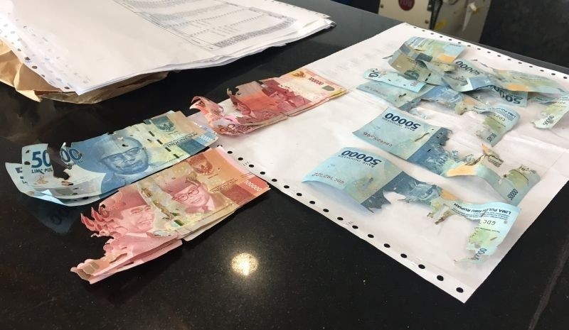 Viral Uang Tabungan Rp50 Juta Dimakan Rayap, LPS: Menabung di Bank Lebih Aman (Foto: Okezone).