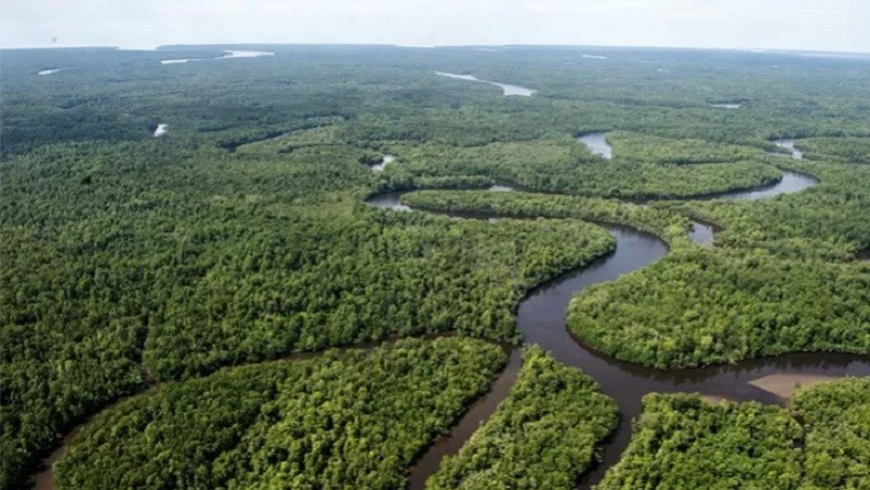 Lawan Perubahan Iklim, Jerman Bantu Brasil Lindungi Hutan Amazon. (Foto: MNC Media)