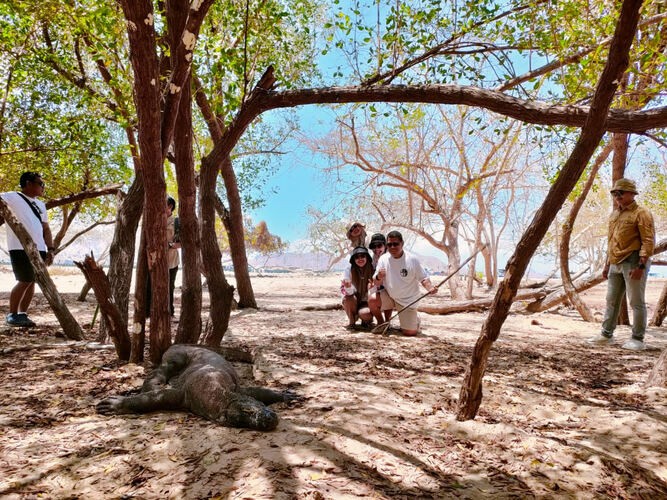 Harga Tiket Naik Tahun Depan, Ini Tamu Pertama di Pulau Komodo. (Foto: MNC Media)