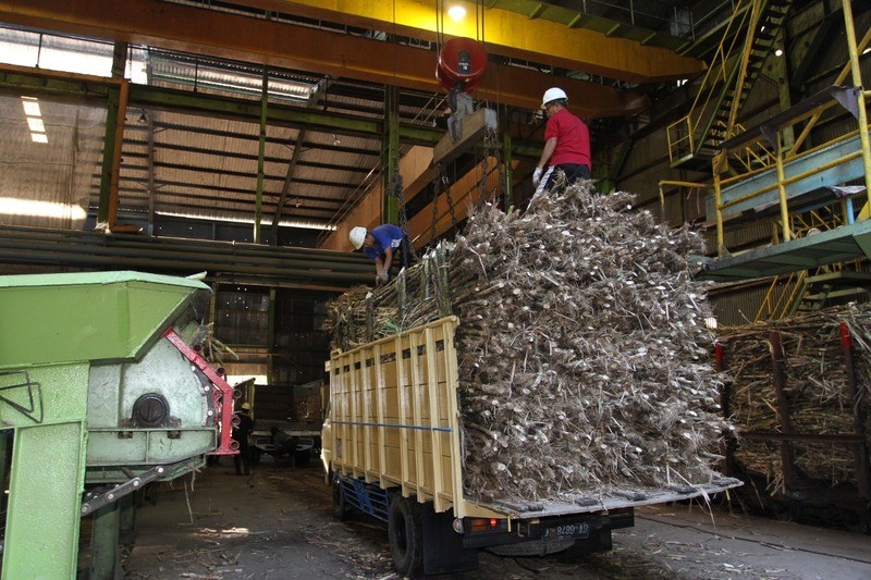 Produksi Gula PTPN X Capai 280.824 Ton hingga Oktober 2022 (Dok.MNC)