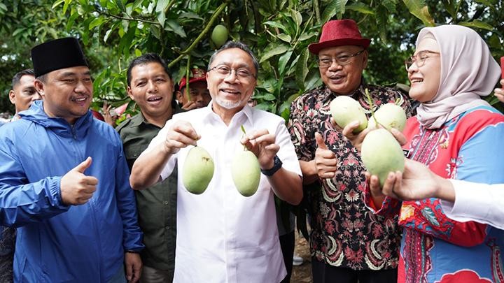 Ekspor Perdana Mangga Indramayu, Mendag: Potensi Besar Tambah Devisa (Dok.Kemendag)