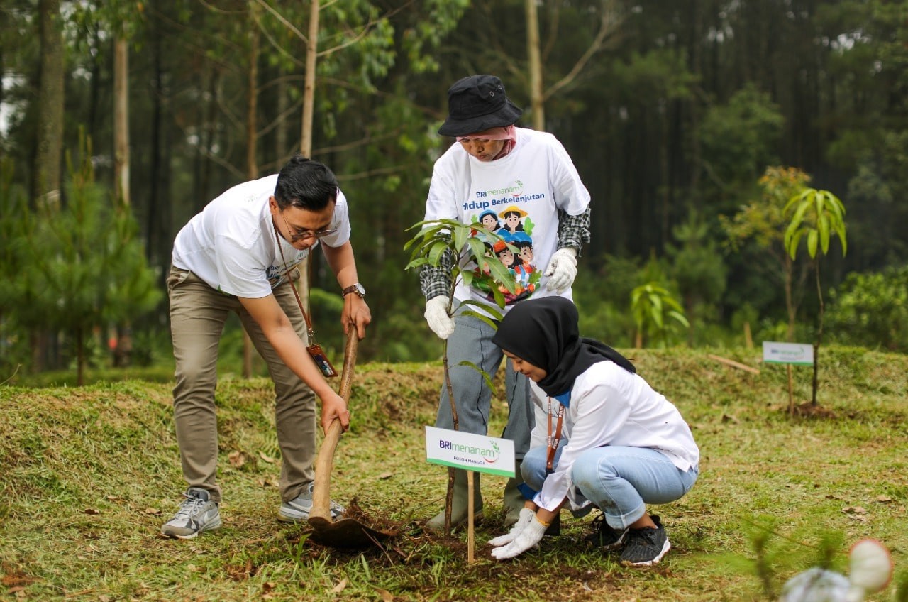 Lingkungan Lebih Hijau dan Malah Jadi Cuan, Nasabah Ungkap Manfaat ‘BRI Menanam’. (Foto: Bank BRI/Adv)