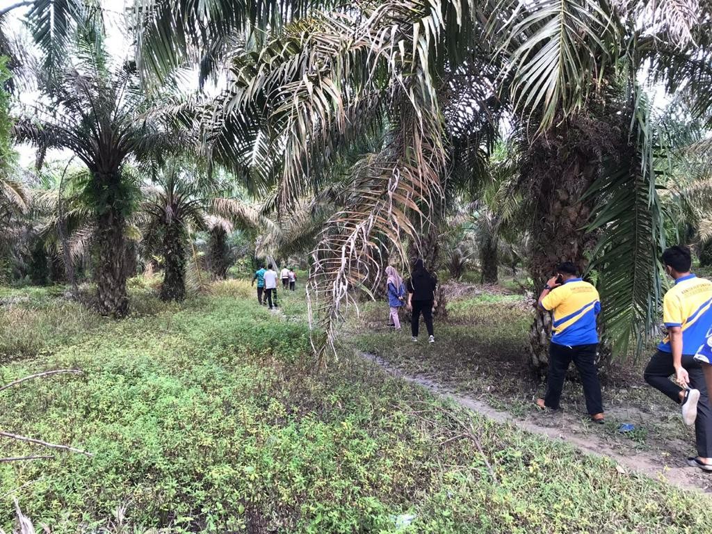 KPK Lelang Ribuan Meter Tanah, Termahal Rp615,17 Juta. (Foto: KPK)