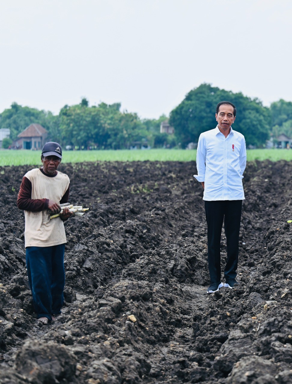 Petani Tebu Minta Harga Gula Naik, Jokowi Janji Bahas dengan Menteri. (Foto: Biro Pers Setpres)
