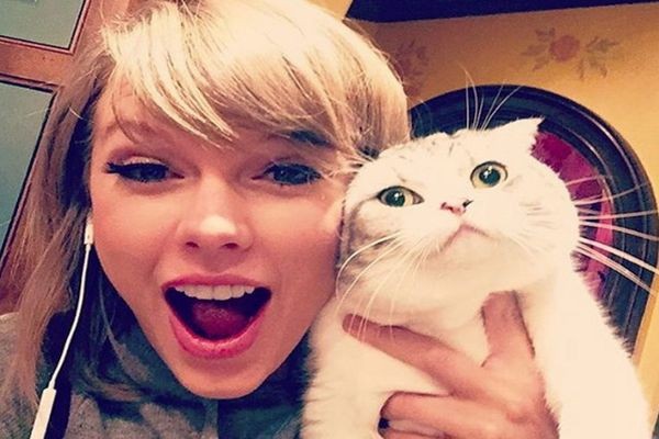 5 Hewan Peliharaan Terkaya di Dunia, Kucing Taylor Swift Salah Satunya. (Foto: MNC Media)