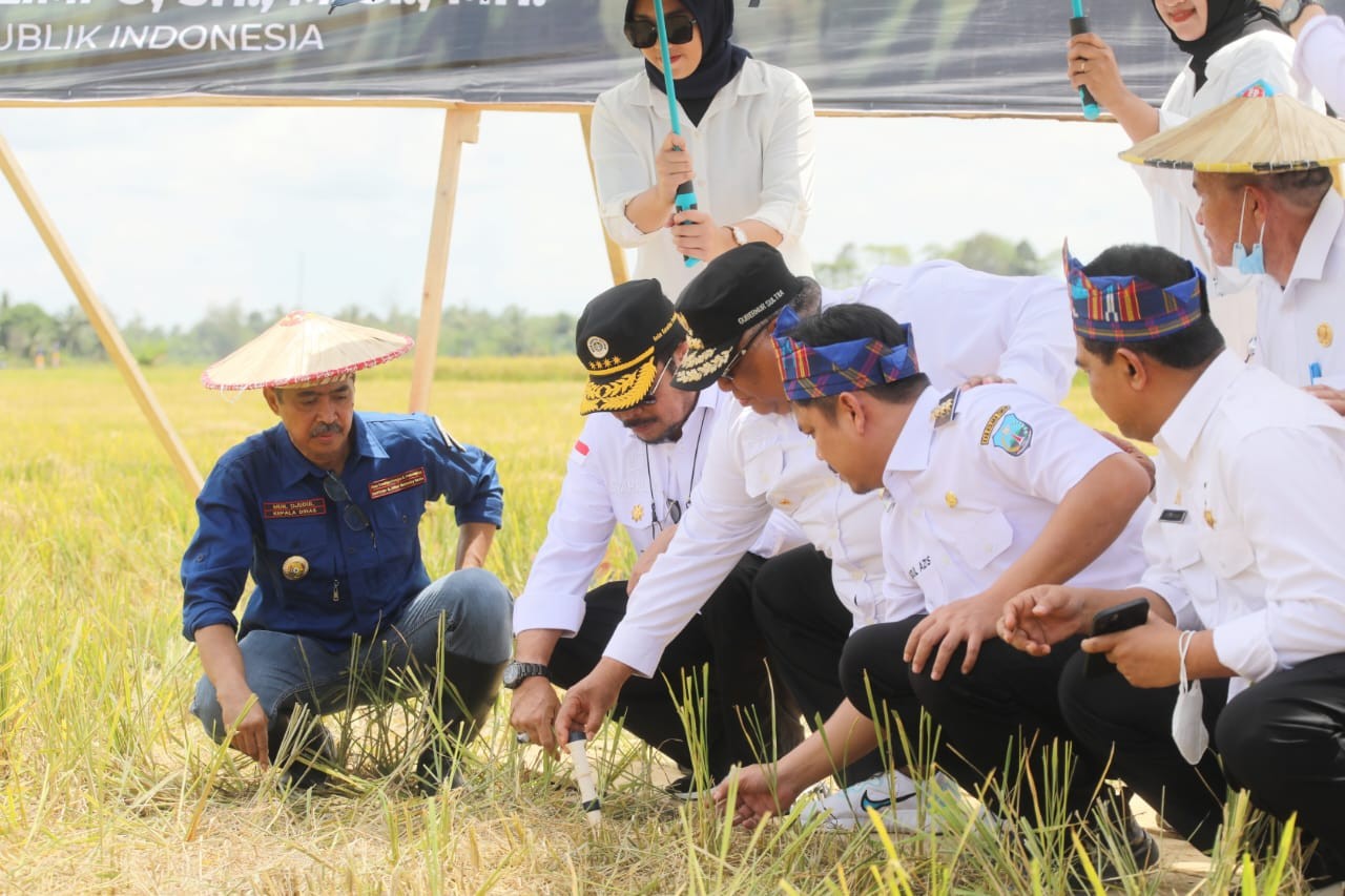 Mentan Minta Daerah Tingkatkan Produktivitas Pertanian hingga Ekspor (FOTO:Dok Ist))