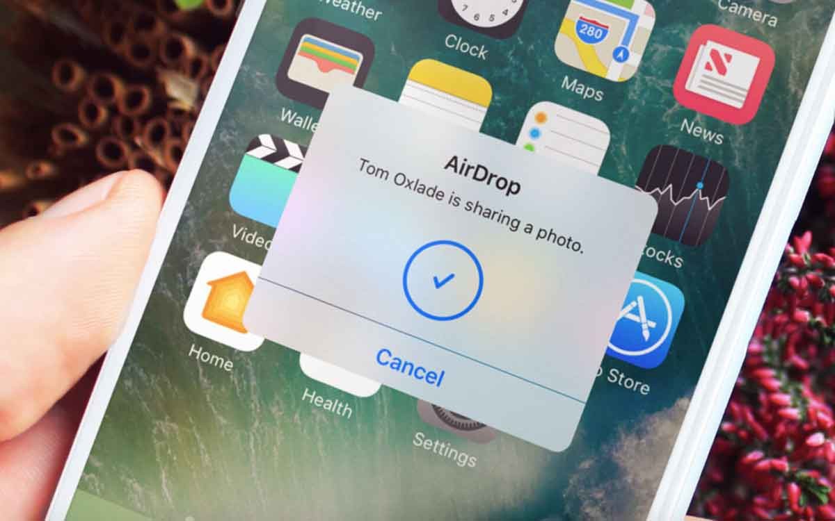 AirDrop (Ilustrasi)