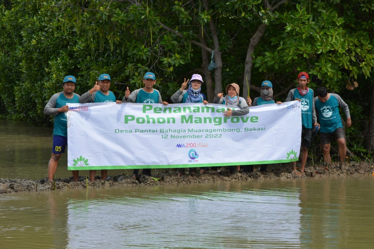 Kurangi Gas Emisi, Bekasi Fajar (BEST) Tanam 20.500 Pohon Mangrove (FOTO: Dok Ist)