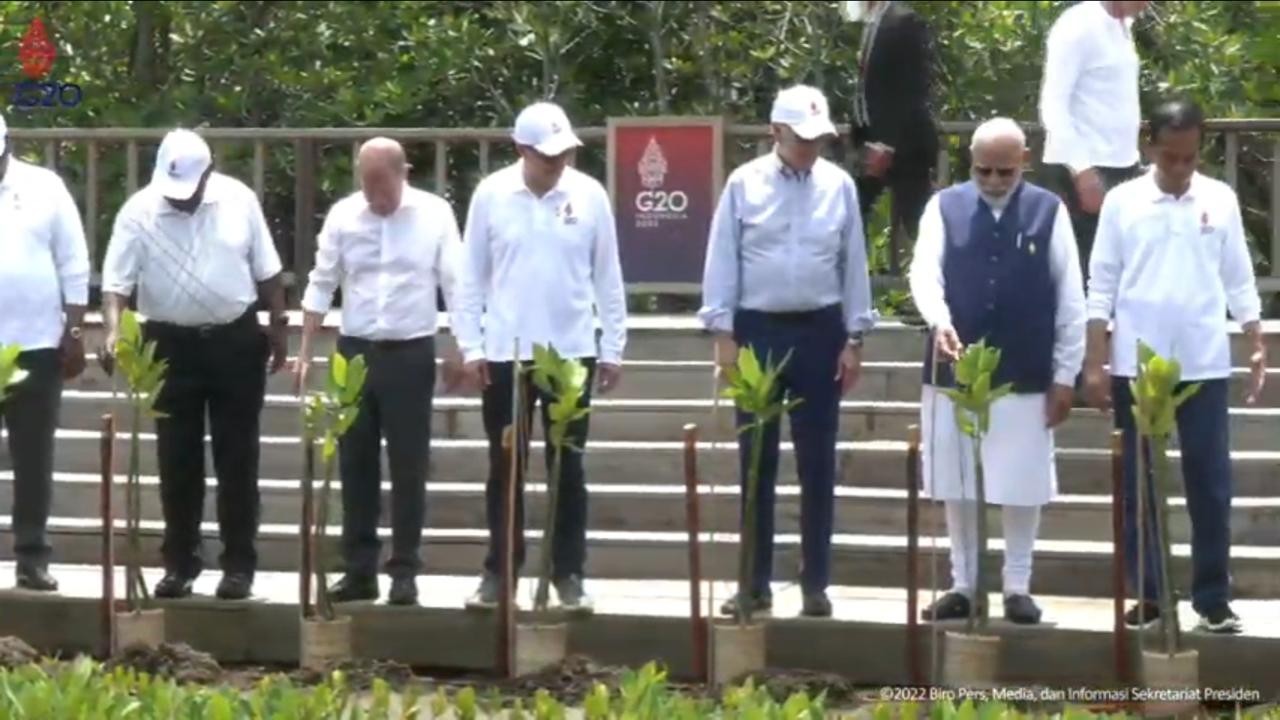 Jokowi Ajak Biden dan Tamu G20 Tanam Mangrove di Bali. (Foto : Setpres/Youtube)