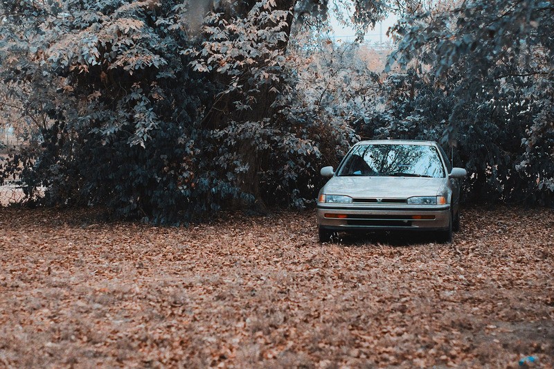 Daftar Miliarder yang Suka Mobil Murmer, Ada Jeff Bezos dengan Honda Accord  (Dok.Dorrell Tibbs, Unsplash)
