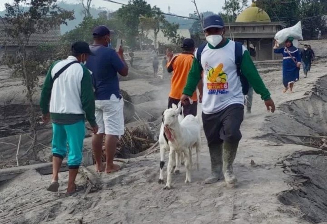Warga Sekitar Gunung Semeru Kembali ke Rumah Meski Status Masih Siaga. (Foto: Avirisda M/MNC Media)