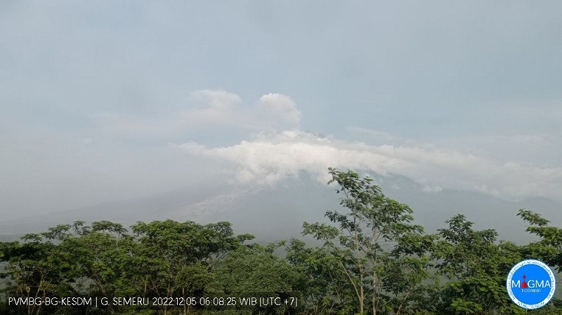 Gunung Semeru Alami 29 Kali Letusan Usai Statusnya Naik Jadi Awas. (Foto: PVMBG).