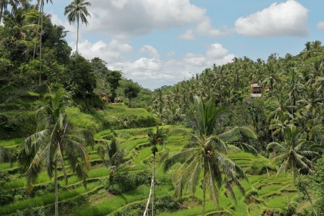 6 Kekayaan yang Ada di Indonesia dan Bikin Negara Lain Ngiri. (FOTO: MNC Media)