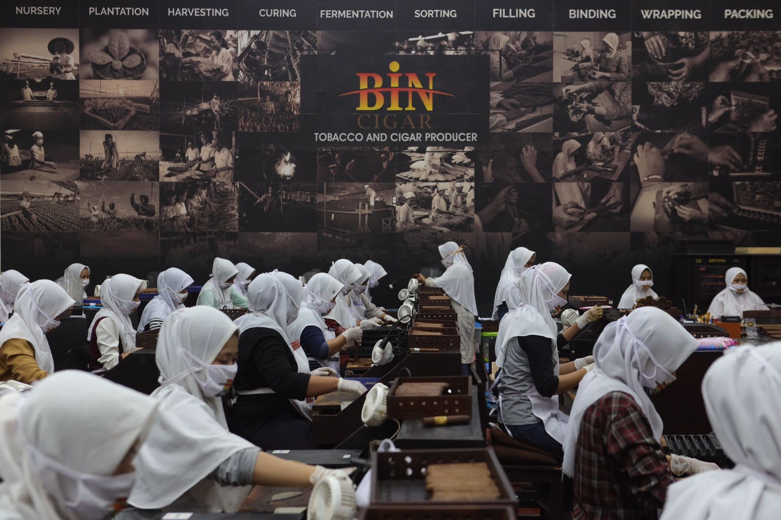 Di Balik Aroma BIN Cigar yang Mendunia, Ada Sentuhan Tangan Wanita di Dalamnya (Dok: HAM)