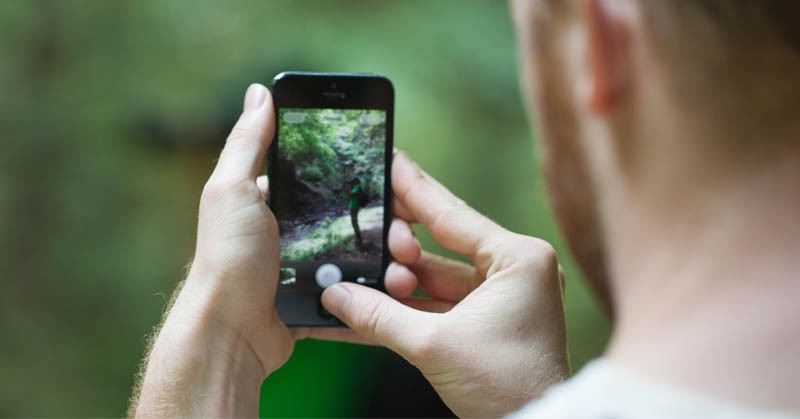 Cara Mengatasi Layar Smartphone menjadi Hijau yang Penting Diketahui (Foto: MNC Media)