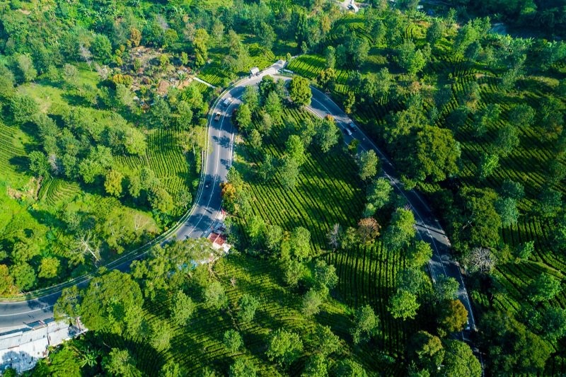 Risiko ESG Rendah, PTPN III Masuk Perusahaan Pertanian Terbaik Dunia. Foto: MNC Media.