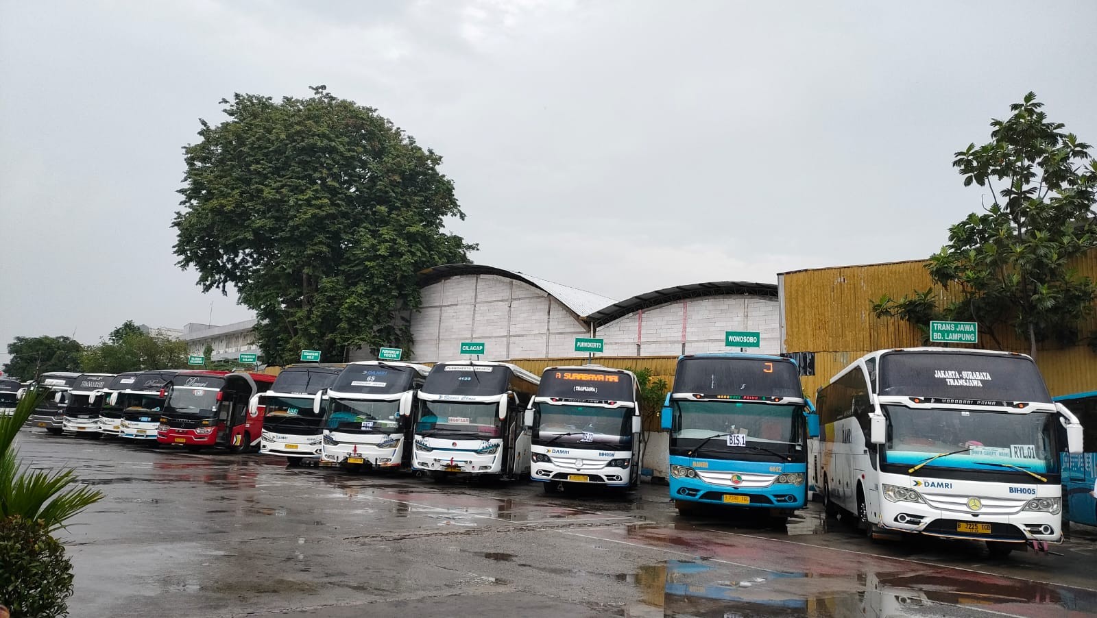 Damri Sediakan Lebih dari 250 Armada untuk Mudik Gratis 2024. (Foto: MNC Media)