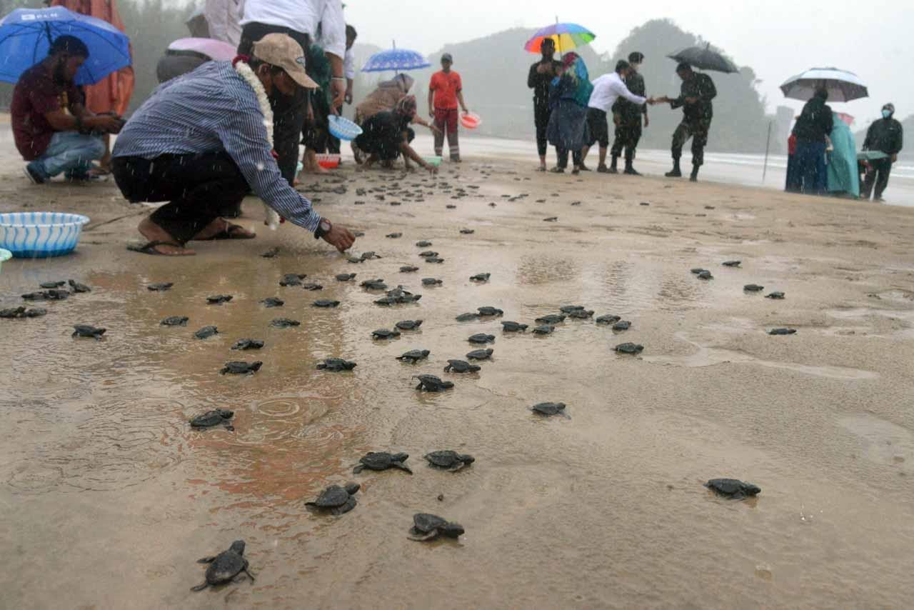 Banyak Peminat, Kawasan Konservasi Jadi Incaran 5,29 Juta Wisatawan di 2022 (Foto:  Sindonews/ Antara)