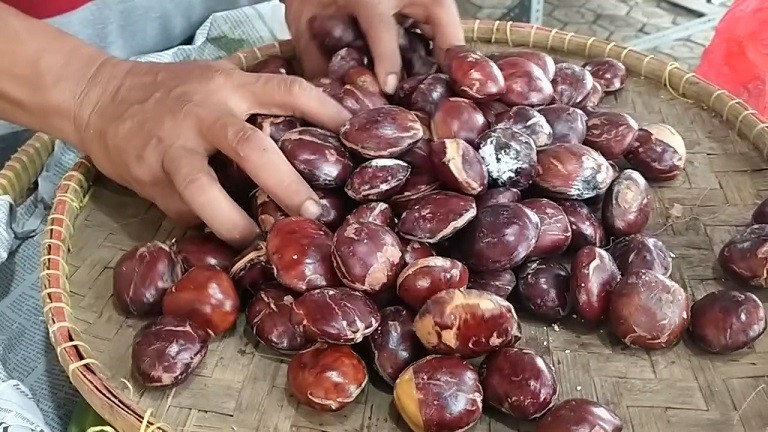 Harga Jengkol di Indramayu Lebih Mahal dari Daging Ayam Broiler, Segini Harganya