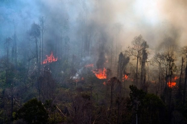 KLHK Ancam Perusahaan Pembakar Hutan, Apa Sanksinya? (Foto: MNC Media)